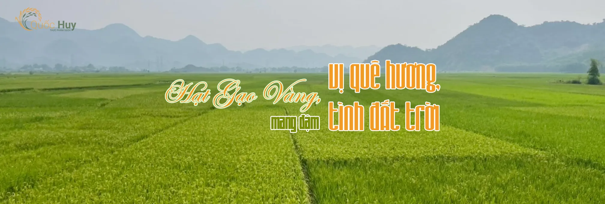 Công ty TNHH Kinh Doanh Và Thương Mại HHK Việt Nam